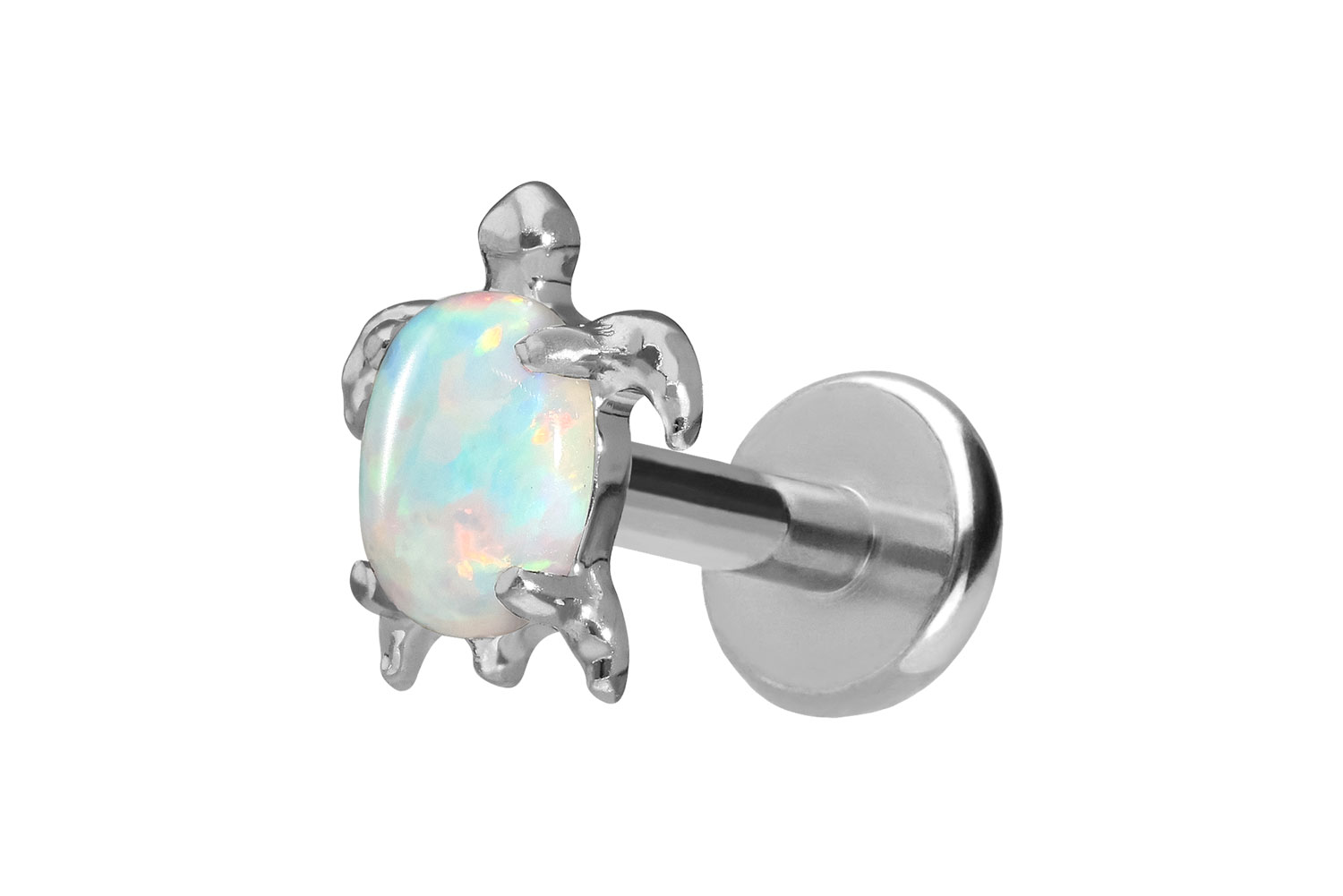 Titan Labret Piercing mit Push Fit SCHILDKRÖTE